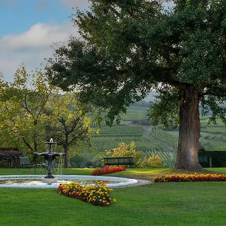 Chateau D'isenbourg & Hotel Rouffach
