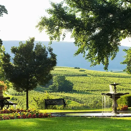 Hotel Chateau D'isenbourg &