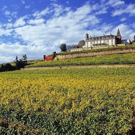 Отель Chateau D'isenbourg & Руффак