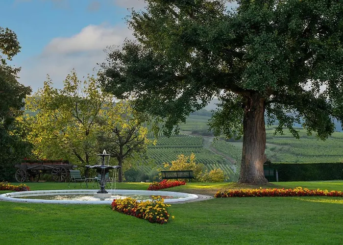 Chateau D'isenbourg & מלון רופאק