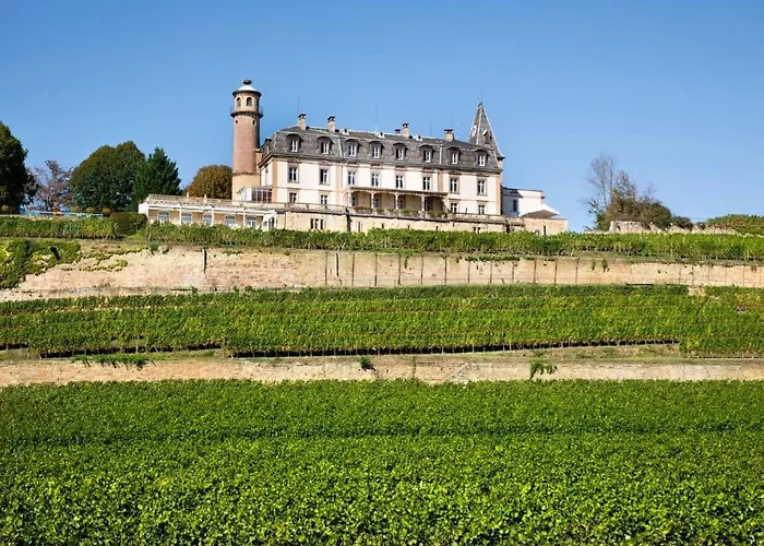 Chateau D'isenbourg &