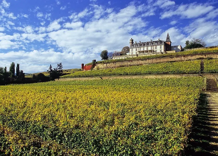 מלון Chateau D'isenbourg & רופאק