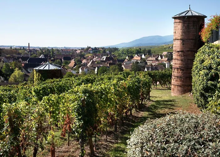 מלון Chateau D'isenbourg & 5*